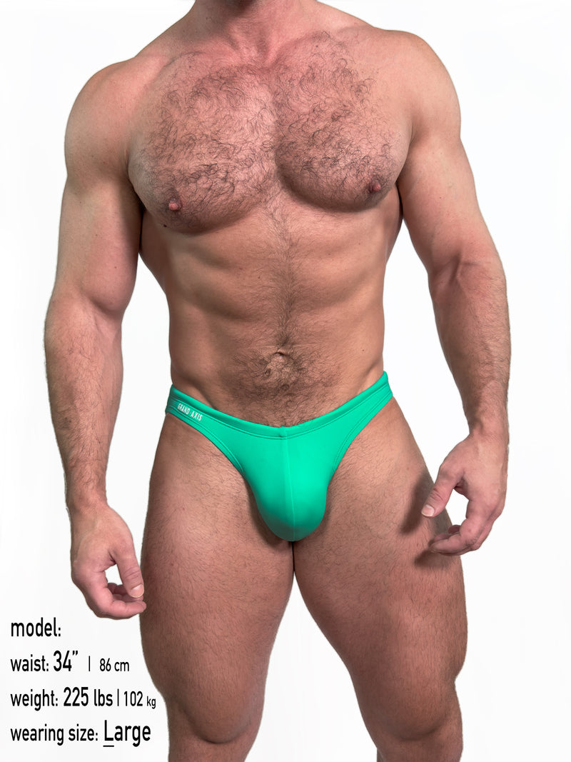 SG Mini-Brief